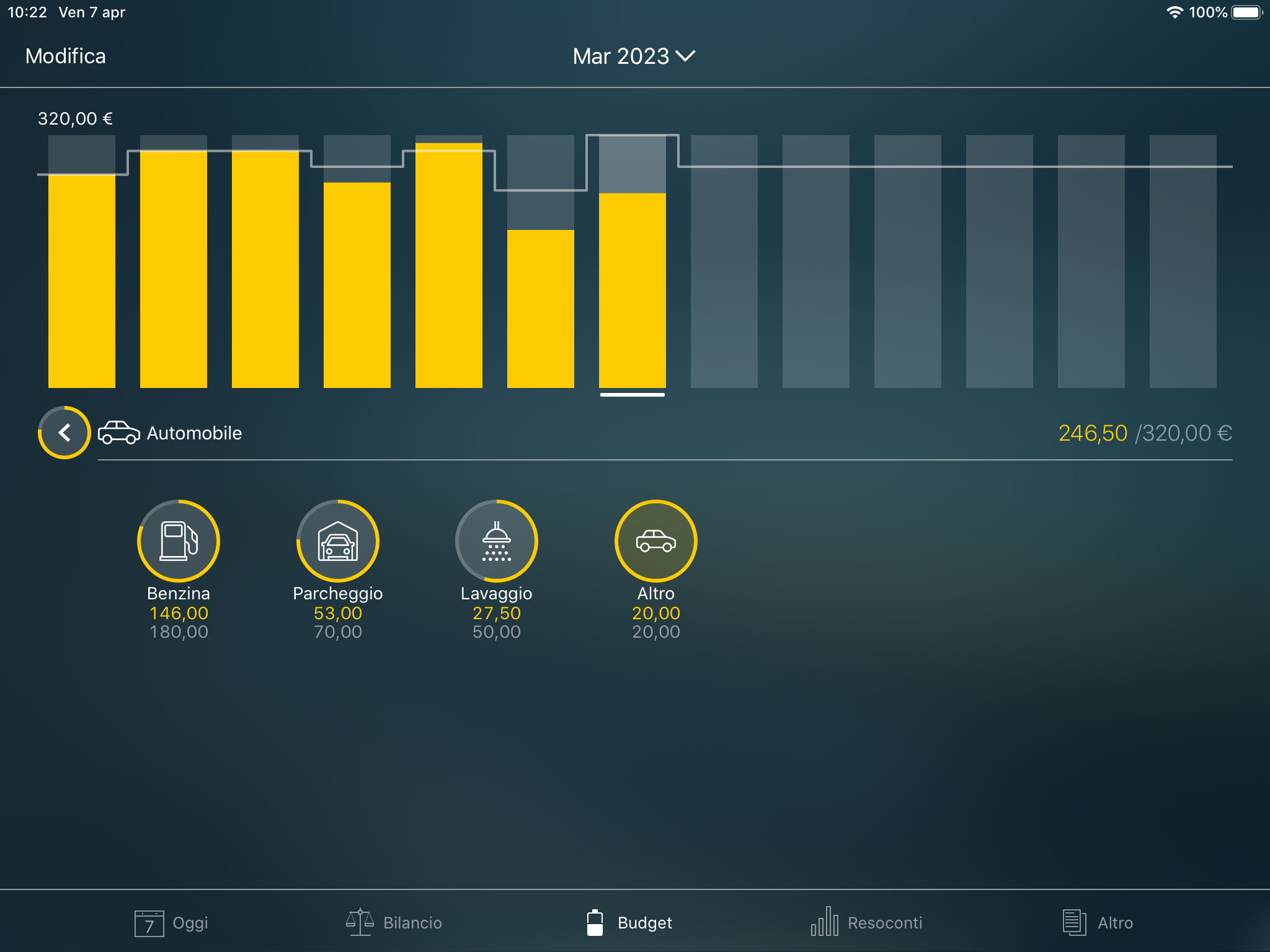 Money Tracker - Categorie e sottocategorie - iPad