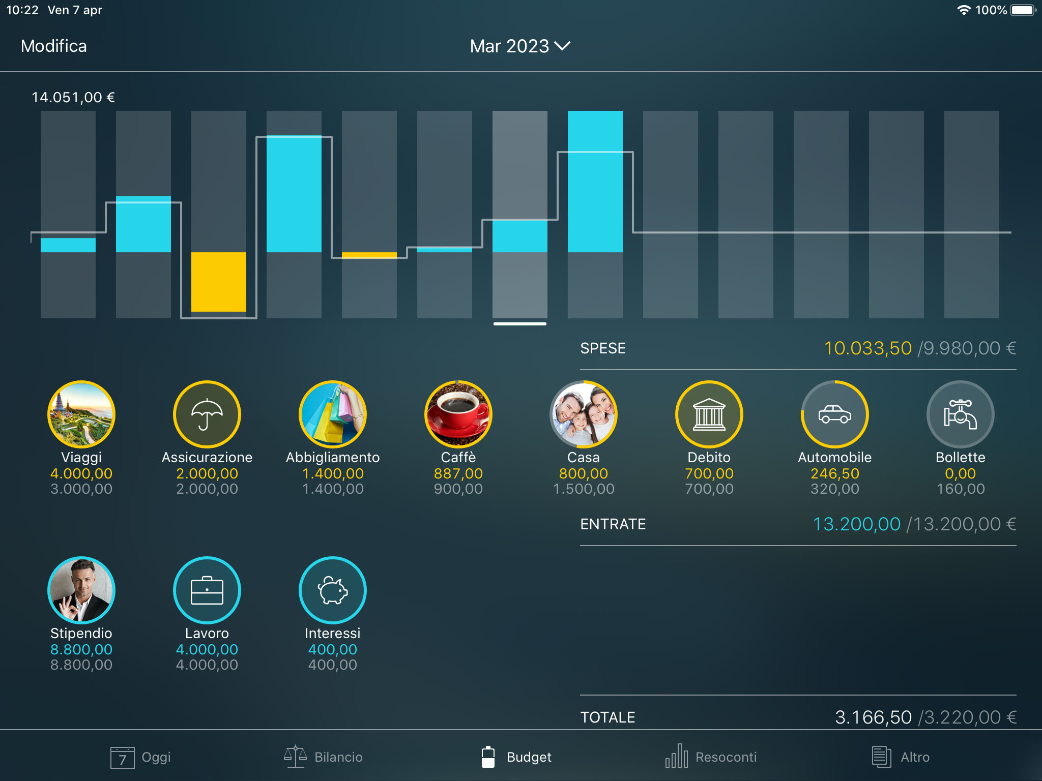 Money Tracker - Monitoraggio di un budget (widget Budget) - iPad