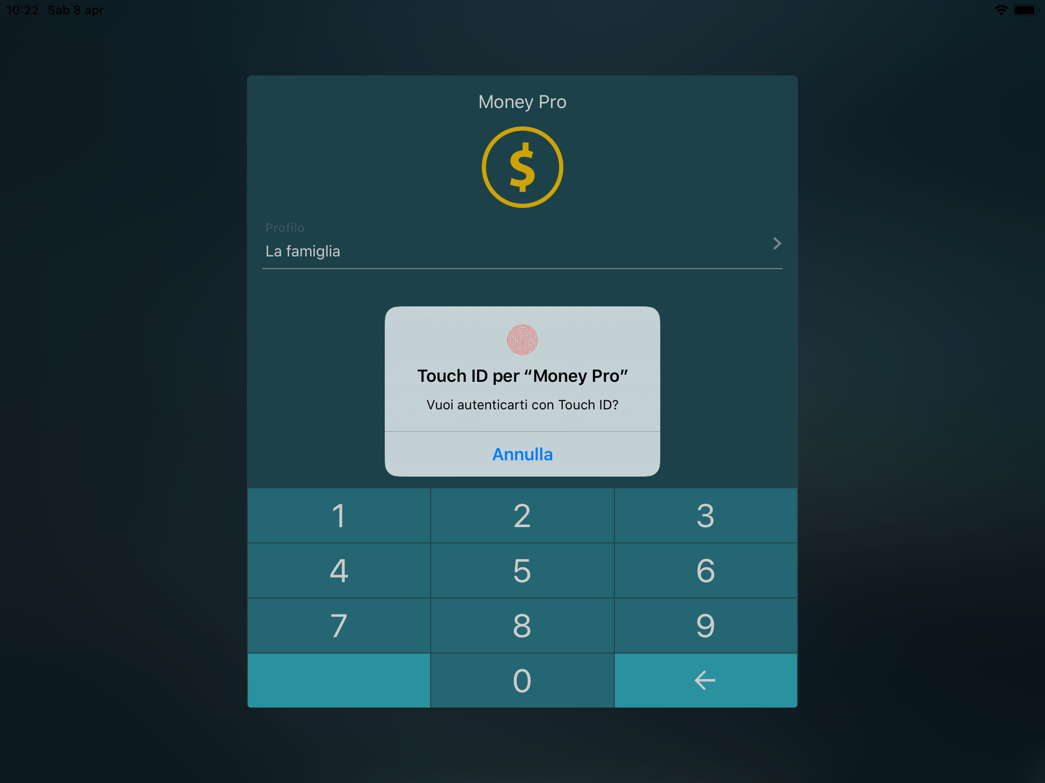 Money Tracker - Touch ID (Face ID) - iPad
