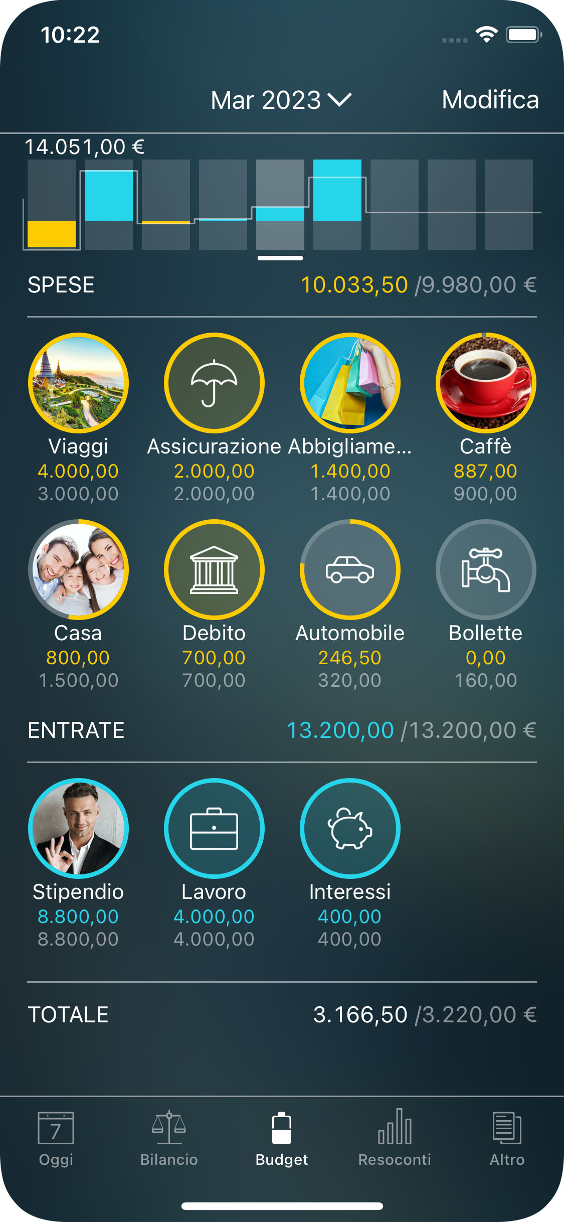 Money Tracker - Monitoraggio di un budget (widget Budget) - iPhone