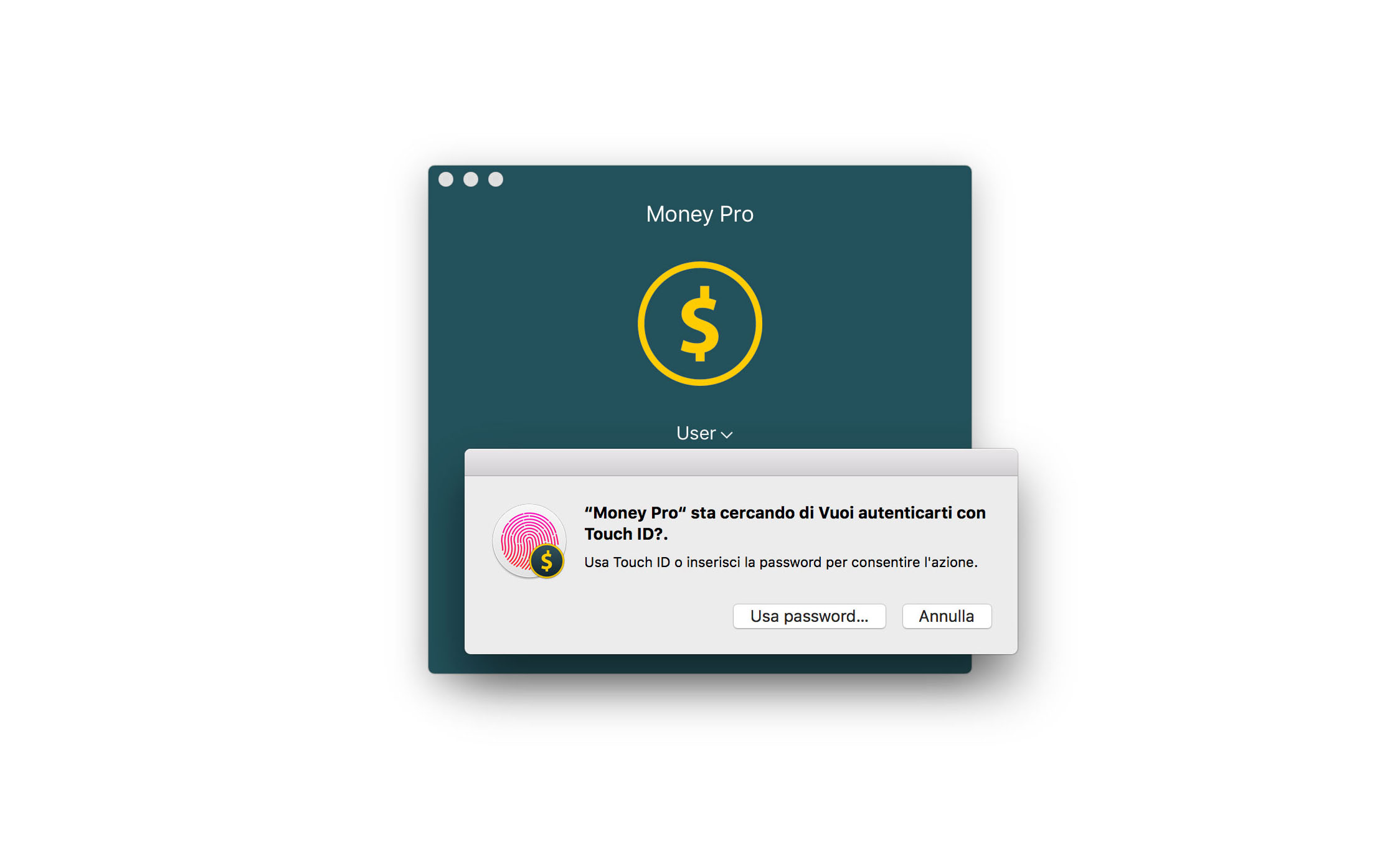Money Tracker - Touch ID (Face ID) - Mac
